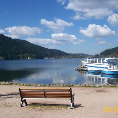 House With Terrace Near The Lake Gerardmer Ngoại thất bức ảnh